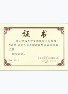 新型企业家